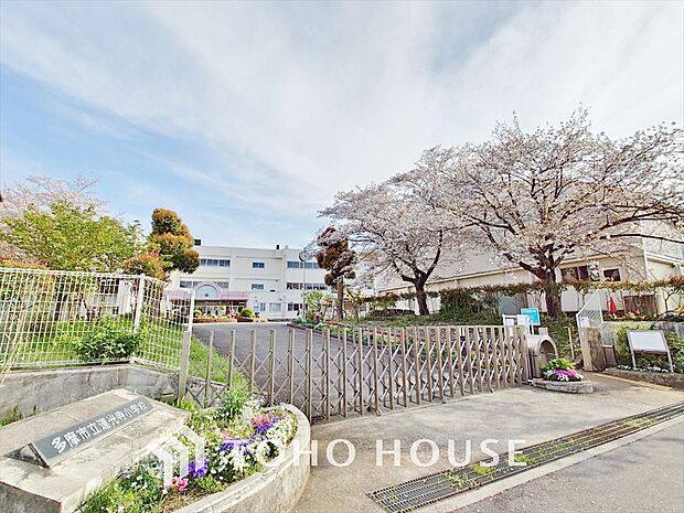 多摩市立蓮光寺小学校 距離約900m