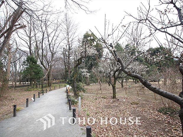 神代植物公園 距離約240m