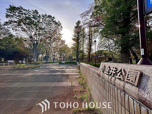 小金井公園 距離約500m