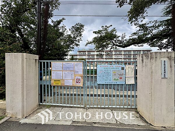 杉並区立馬橋小学校 距離約80m