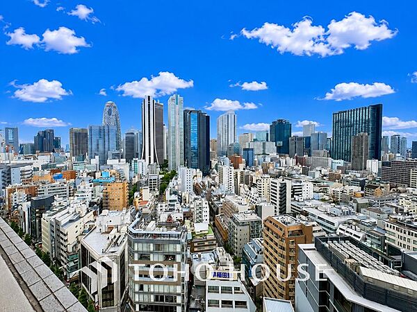 バルコニーからの眺望です。