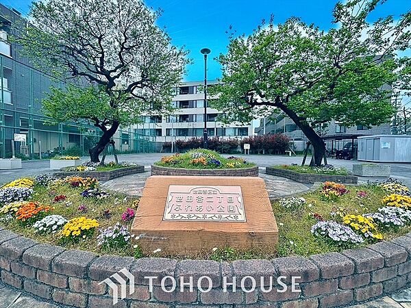 世田谷二丁目ふれあい公園 距離約300m