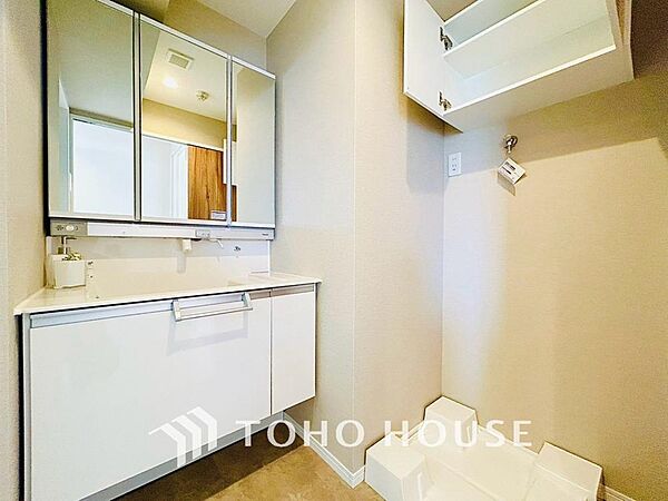 身だしなみのチェックがしやすい大きな鏡、下には収納がたっぷり。スッキリとした空間を演出いたします。