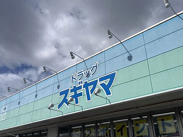 ドラッグスギヤマ 650m