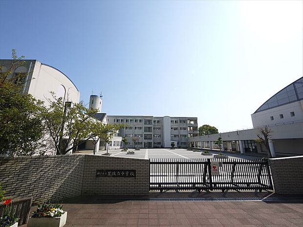 【中学校】神戸市立　星陵台中学校まで1178ｍ