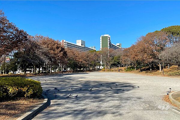 中川公園の外観