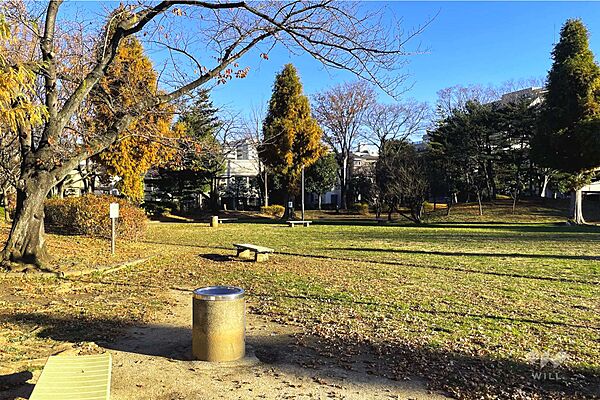 大谷田公園の外観