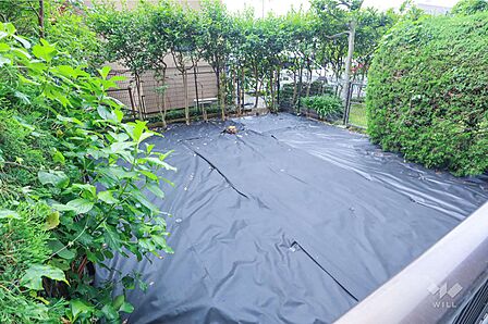 庭［2026年6月18日撮影］