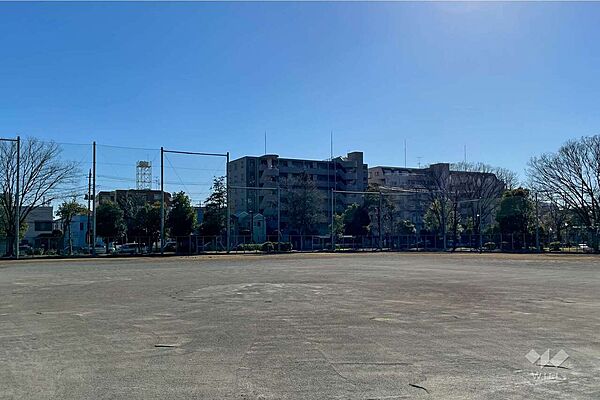 保木間公園の外観