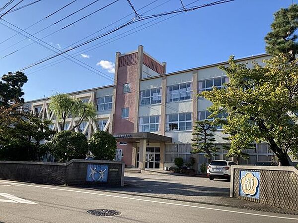 柳町小学校 260m