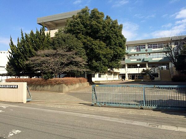 apartment 埼玉県新座市新堀3丁目