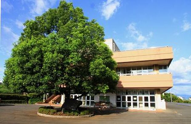 狭山市立中央中学校 徒歩16分 1205m