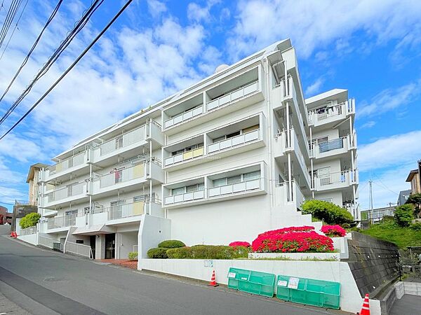 外観：314002568446