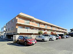 ネクシア藤沢善行