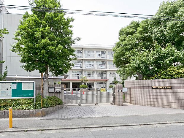 ■横浜市立綱島小学校…徒歩12分(800m)