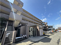 ジェームズ湘南