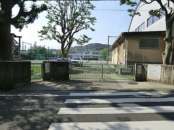 ◎横須賀市立大楠小学校