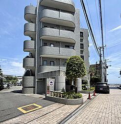 シルフィード湘南