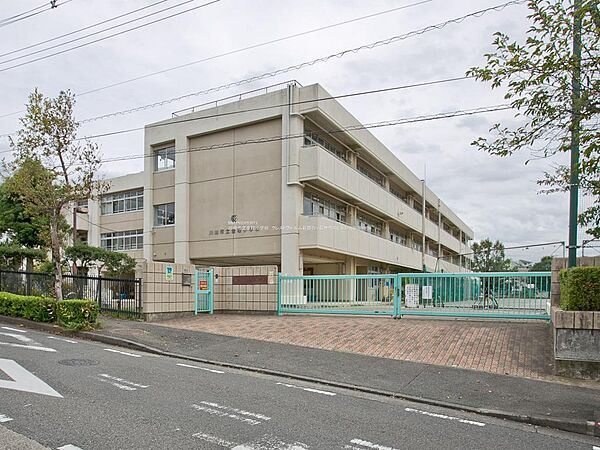 【川崎市立金程小学校】