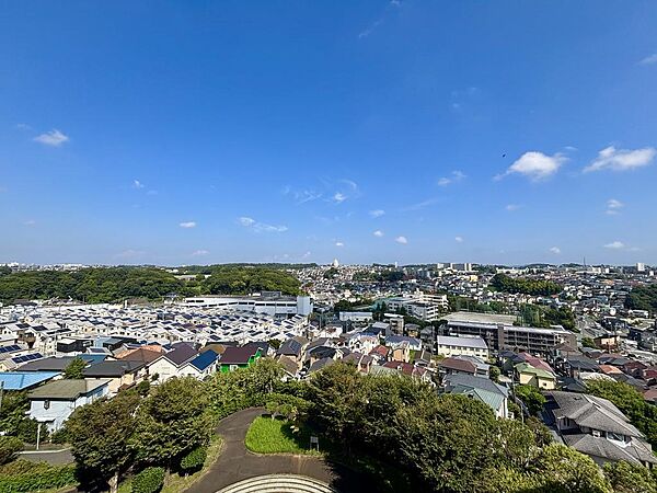 バルコニーからの眺望。開けており、開放感があります。