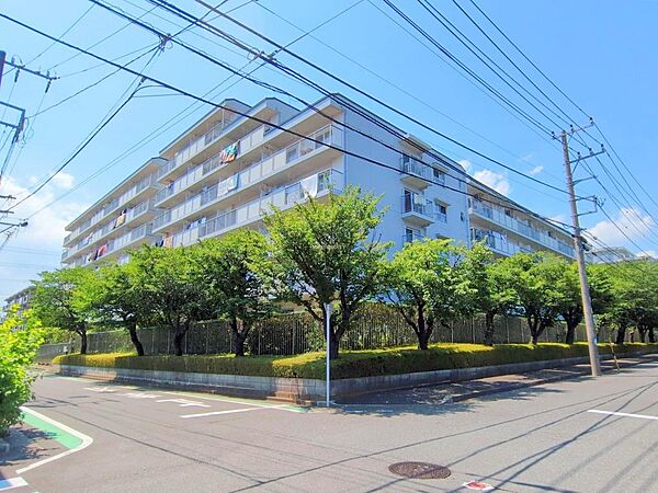 南向き住戸かつ全面低層で日照良好♪