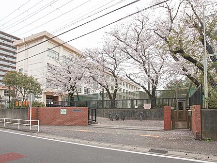 【藤沢市立新林小学校】