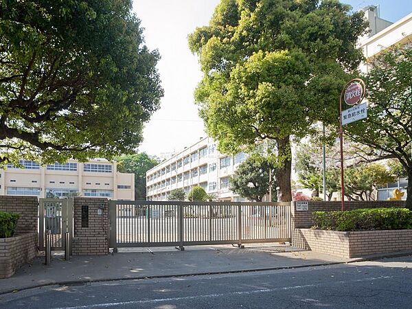 ◎横浜市立新井小学校…56m