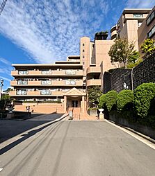 ラムセス横浜星川