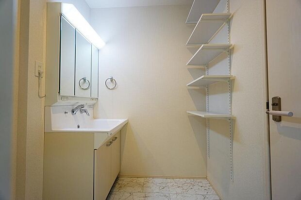 シャワー付き洗面台。洗面台向かい側にはタオルや洗剤などの小物が収納できる可動棚が設置。室内（2024年4月）撮影