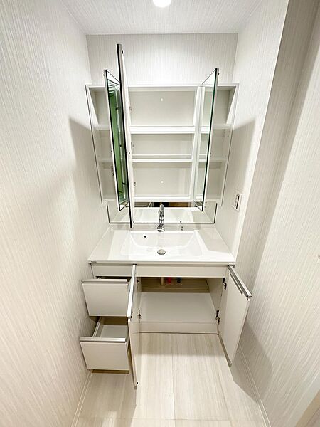 鏡の内部にも収納を完備し雑然としがちな洗面台もスッキリ収納