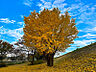 周辺：紀の川緑地公園 4800m