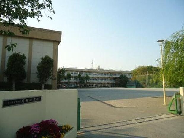 片柳小学校 560m