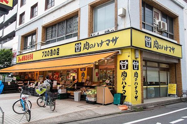 画像22:【スーパー】肉のハナマサ 板橋志村店まで446ｍ