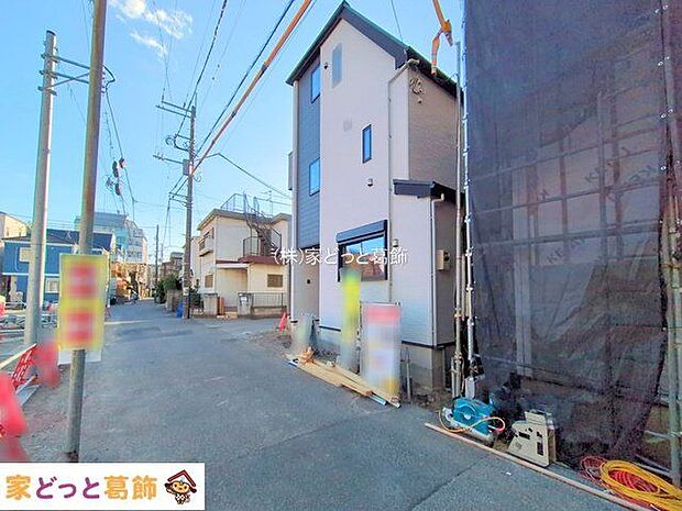 撮影日(2025-11-19 00:00:00)