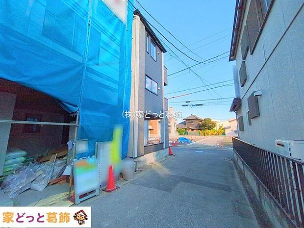 撮影日(2025-11-19 00:00:00)