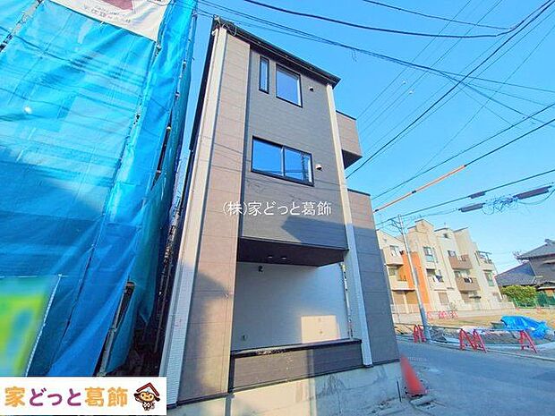 撮影日(2025-11-19 00:00:00)