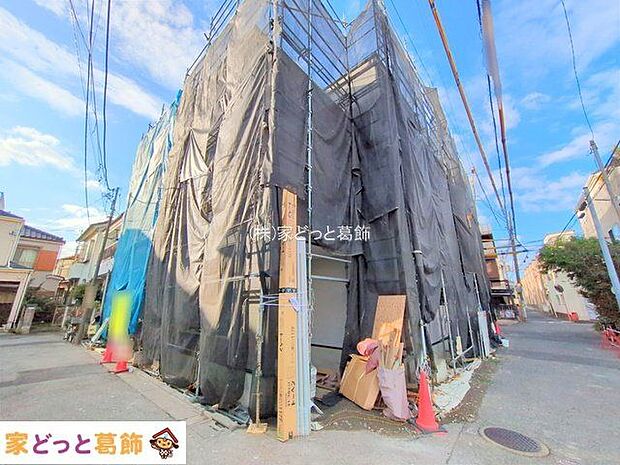 撮影日(2025-10-23 00:00:00)