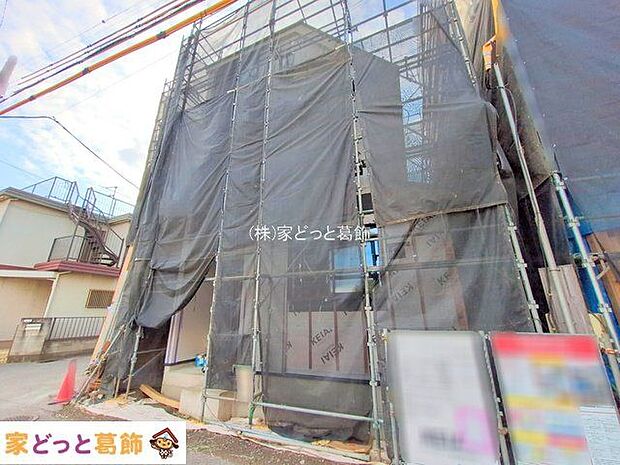 撮影日(2025-10-23 00:00:00)