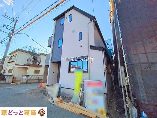 撮影日(2025-11-19)