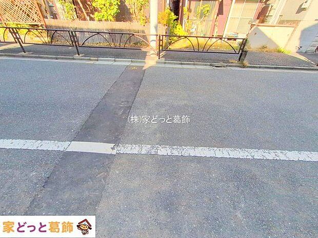 撮影日(2025-11-19 00:00:00)