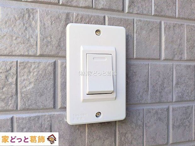 撮影日(2025-11-19 00:00:00)