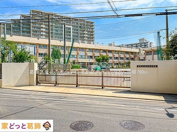 葛飾区立花の木小学校 撮影日(2022-08-03) 790m