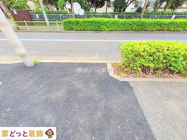 撮影日(2025-11-13 00:00:00)