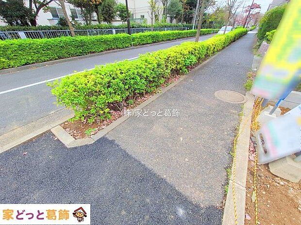 撮影日(2025-11-13 00:00:00)
