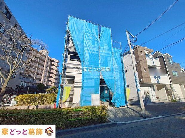 撮影日(2026-01-23)