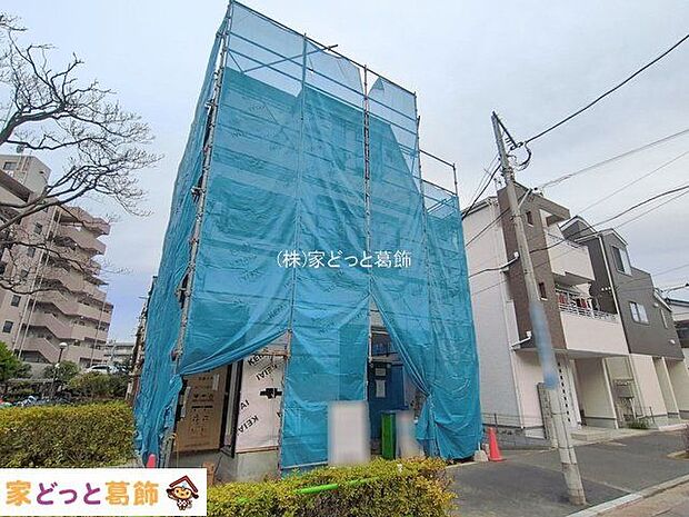 撮影日(2026-01-05 00:00:00)