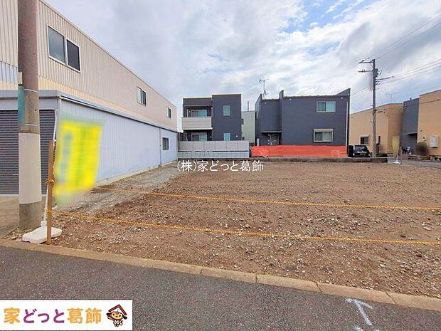 撮影日(2025-09-19 00:00:00)