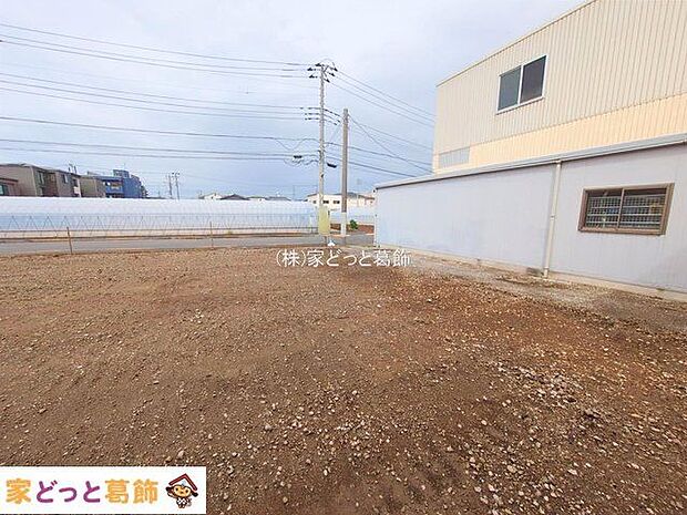 撮影日(2025-09-19 00:00:00)