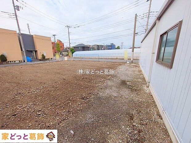 撮影日(2025-09-19 00:00:00)