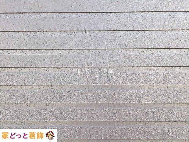 撮影日(2026-01-30 00:00:00)